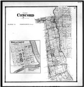 Concord Township, Bellpoint, Cutlers Corn's, Delaware County 1866